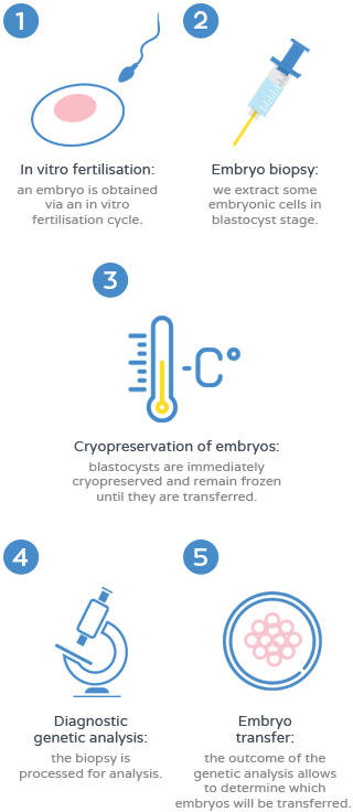 preimplantation genetic diagnosis