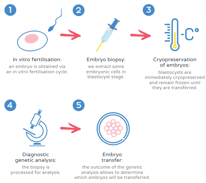 Preimplantation Genetic Diagnosis (PGD) - Process
