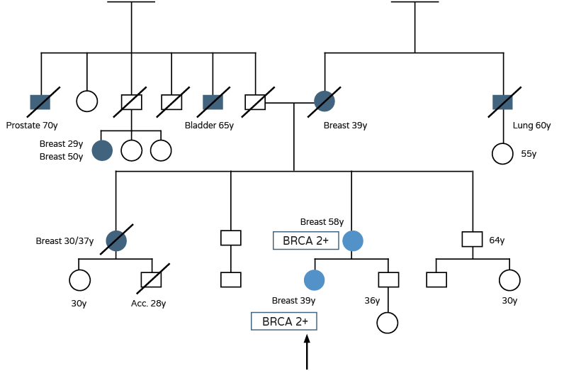 Cancer risk - Family tree