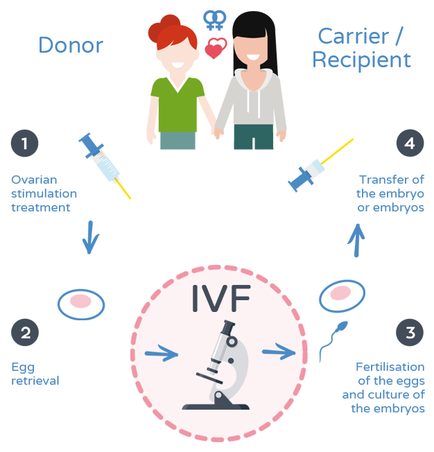 Reciprocal IVF method - Process