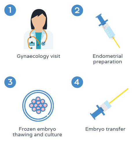 Frozen embryo transfer - Process