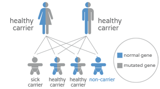 Genetic carrier screening (qCarrier) - Carriers