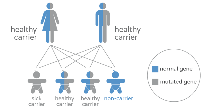 Genetic carrier screening (qCarrier) - Carriers