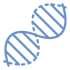 Pregnancy - Preconception genetic test