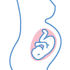 Psychology Unit - Pregnancy and postpartum