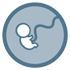 Pregnancy - Visits and controls - First trimester