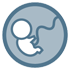Pregnancy - Visits and controls - Second trimester